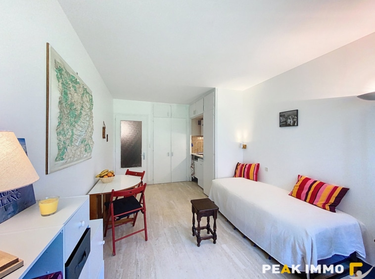 Studio 23,5 m2 - CHAMONIX MONT BLANC