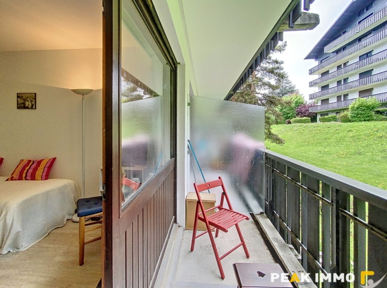 Studio 23,5 m2 - CHAMONIX MONT BLANC