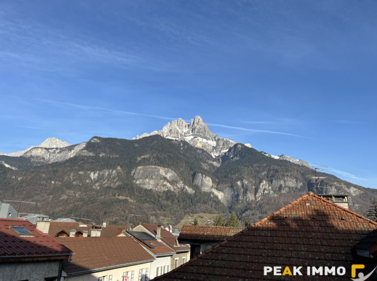 SALLANCHES CENTRE VILLE T3 + CAVE