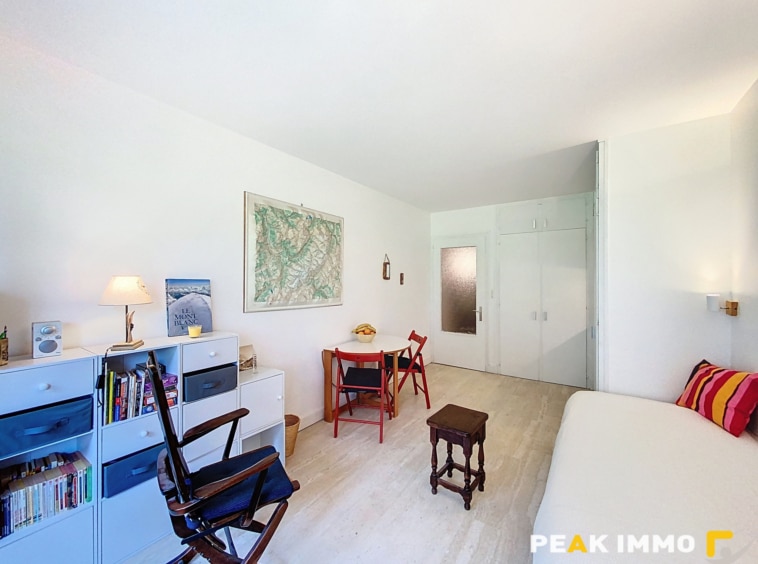 Studio 23,5 m2 - CHAMONIX MONT BLANC