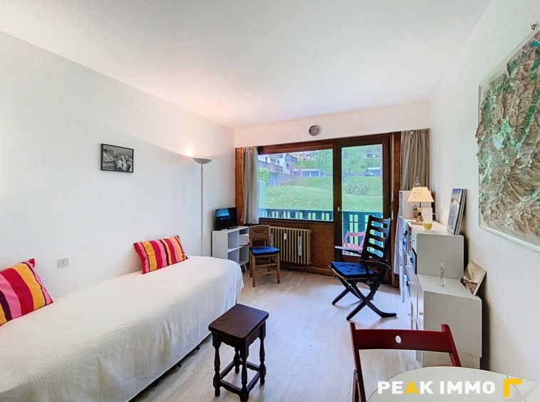 Studio 23,5 m2 - CHAMONIX MONT BLANC