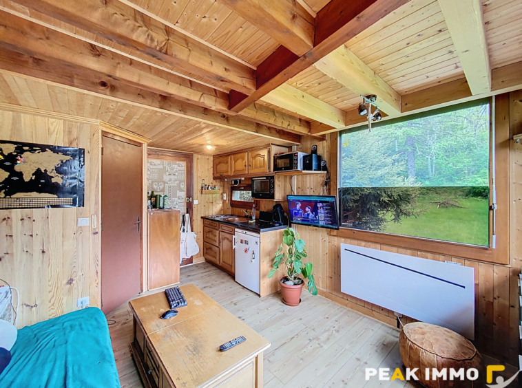 Demi chalet - 28 m2 - Chamonix-Mont-Blanc