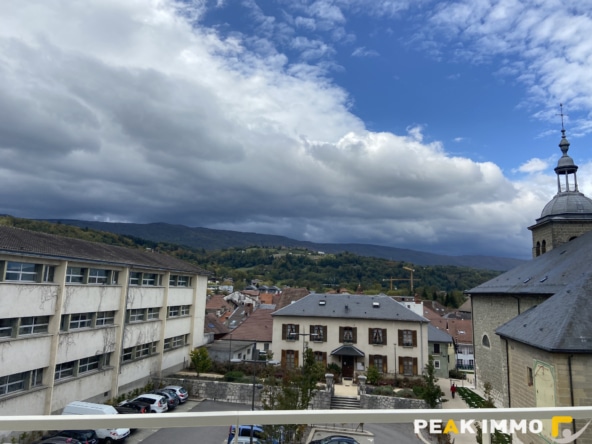 2 pièces, 46,88 m2, Rumilly