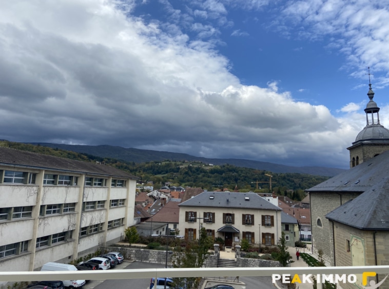 2 pièces, 46,88 m2, Rumilly