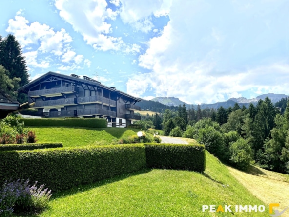 APPARTEMENT F2 DUPLEX - 37,05 m2 - COMBLOUX