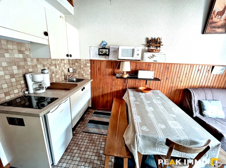 F2 Cabine Duplex - 34 m2 - Combloux centre