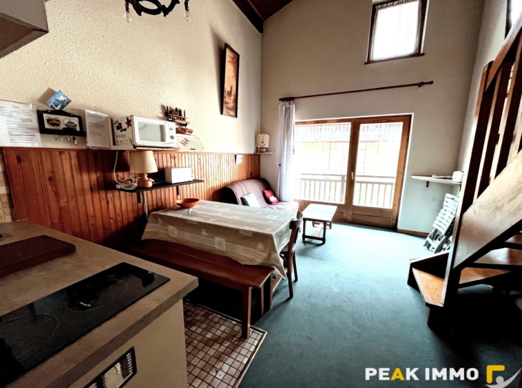 F2 Cabine Duplex - 34 m2 - Combloux centre