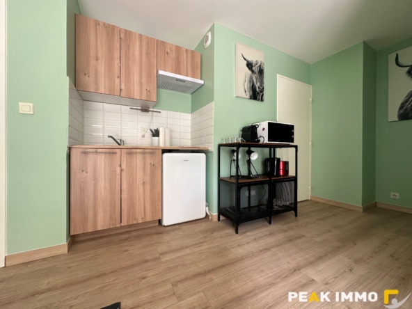 Appartement T1 meublé - 32m2 - 74240 Gaillard