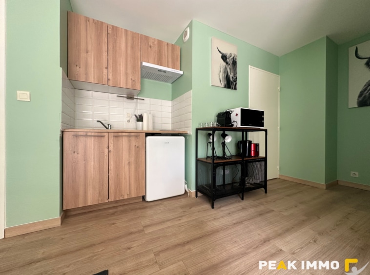 Appartement T1 meublé - 32m2 - 74240 Gaillard