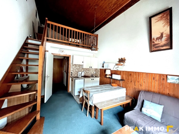 F2 Cabine Duplex - 34 m2 - Combloux centre