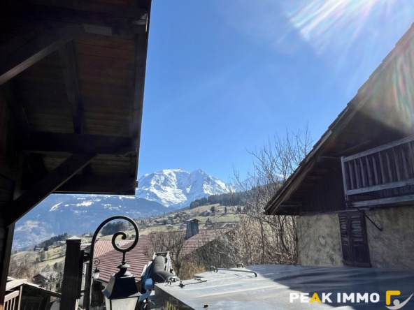 F2 Cabine Duplex - 34 m2 - Combloux centre