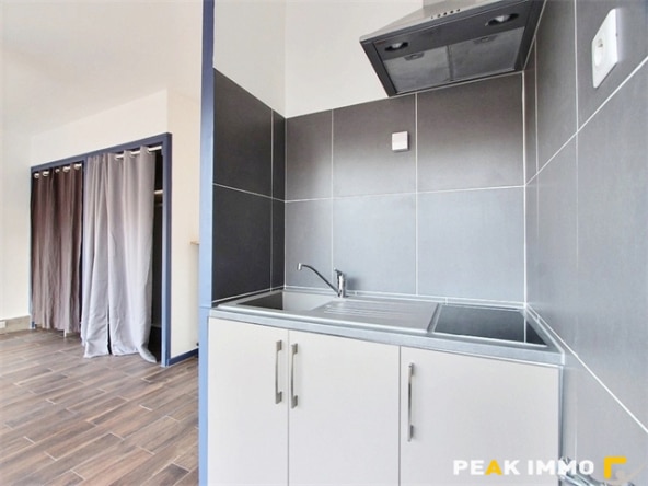 Studio - ANNECY - 4 Promenade Lachenal