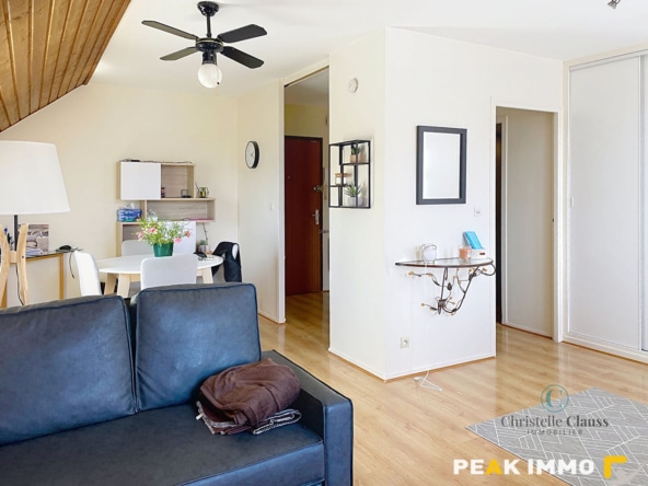 EN EXCLUSIVITE, Vente appartement T2/T3 avec garage Contamin
