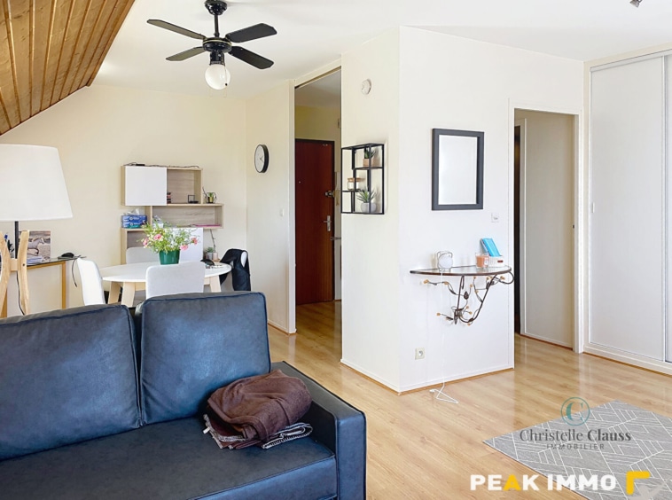 EN EXCLUSIVITE, Vente appartement T2/T3 avec garage Contamin