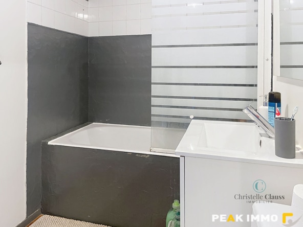 EN EXCLUSIVITE, Vente appartement T2/T3 avec garage Contamin