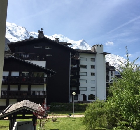 F2 de 29.71 m2 Chamonix