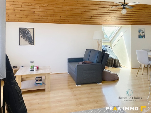 EN EXCLUSIVITE, Vente appartement T2/T3 avec garage Contamin