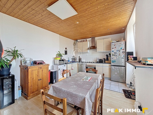 EXCLUSIVITE -LUCINGES -T2 Bis avec terrasse au calme et vue