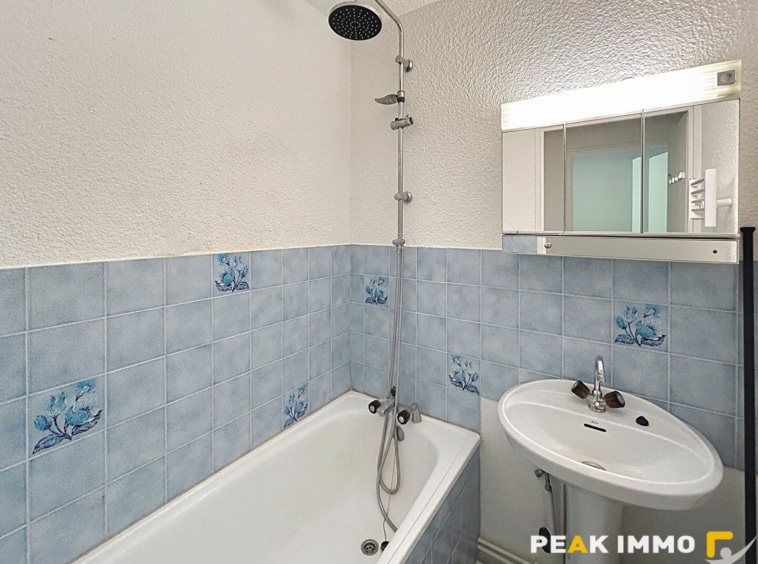 Appartement Onnion F1 pièce(s) 22.41 m2