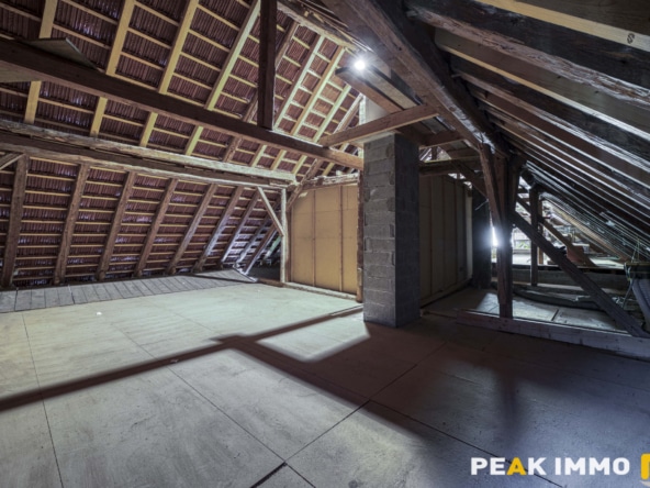 Maison et annexes - 7 pièces - 400 m2 - LATHUILE