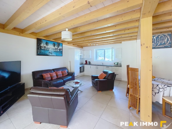 Appartement DUPLEX Doussard 4 pièces 88 m2 ( 110 au sol)