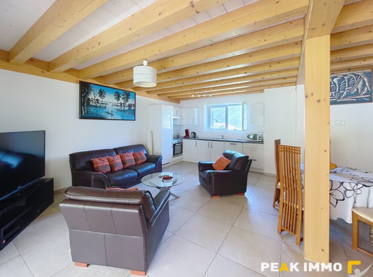Appartement DUPLEX Doussard 4 pièces 88 m2 ( 110 au sol)