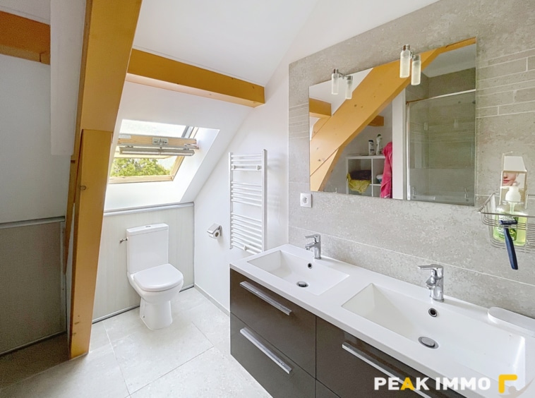 Appartement DUPLEX Doussard 4 pièces 88 m2 ( 110 au sol)