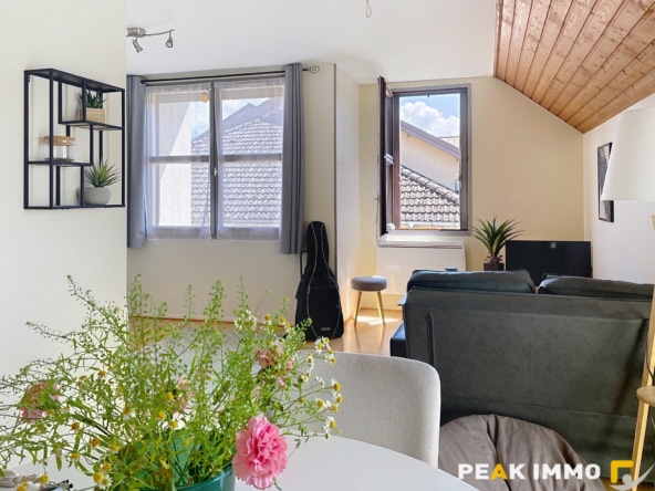 EN EXCLUSIVITE, Vente appartement T2/T3 avec garage Contamin