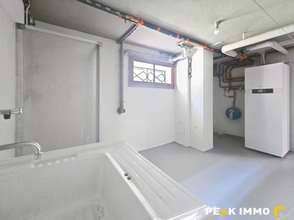 CONTAMINE SUR ARVE- Chalet rénové sur 600 m2 de terrain