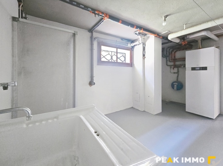 CONTAMINE SUR ARVE- Chalet rénové sur 600 m2 de terrain