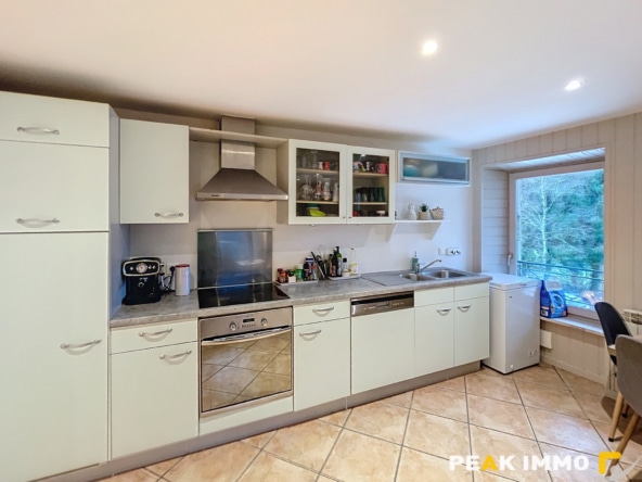 Appartement Doussard 3 pièces 55.27 m2