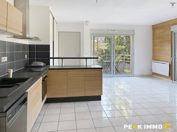 SCIONZIER - Appartement T3