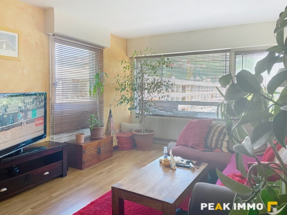 ANNECY LE VIEUX  Appartement 2 pièces Spécial investisseur.