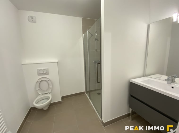Appartement 51.18 m2 Sallanches