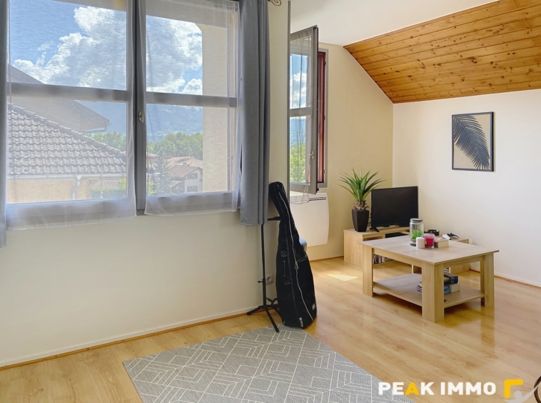 EN EXCLUSIVITE, Vente appartement T2/T3 avec garage Contamin