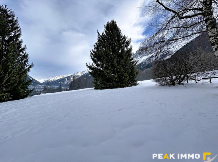 Chalet 120 m2 utiles - Chamonix-Mont-Blanc