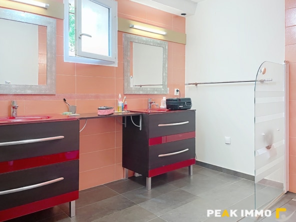 BOEGE BELLE MAISON 8 PIECES DE 230 m2 AVEC DEPENDANCE