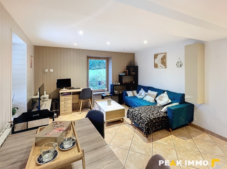 Appartement Doussard 3 pièces 55.27 m2