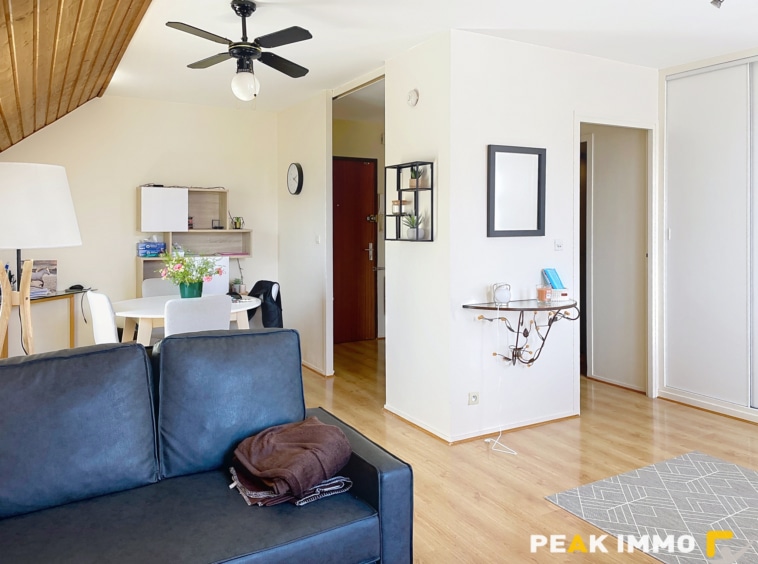 EN EXCLUSIVITE, Vente appartement T2/T3 avec garage Contamin