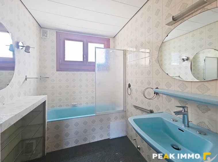 CONTAMINE SUR ARVE- Chalet rénové sur 600 m2 de terrain