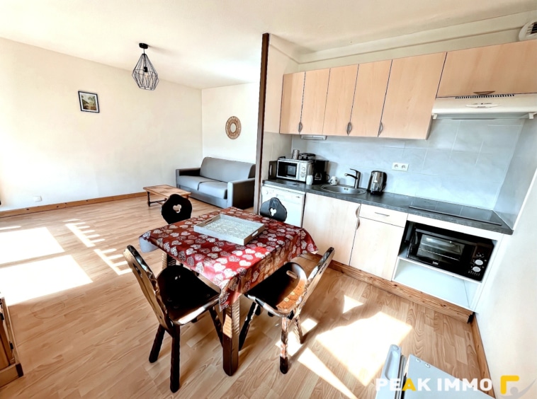 Appartement F1 - 29.08 m2 - Sallanches