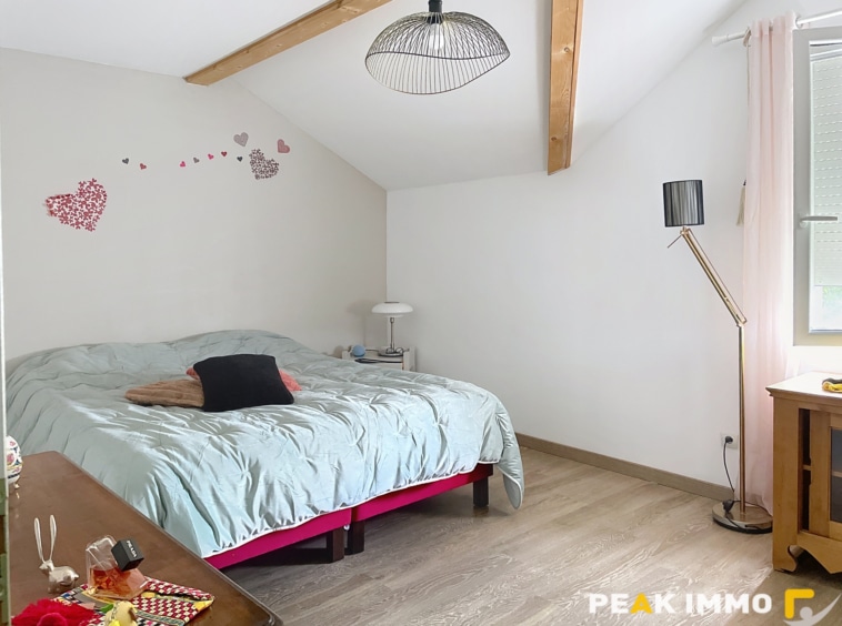 BOEGE BELLE MAISON 8 PIECES DE 230 m2 AVEC DEPENDANCE