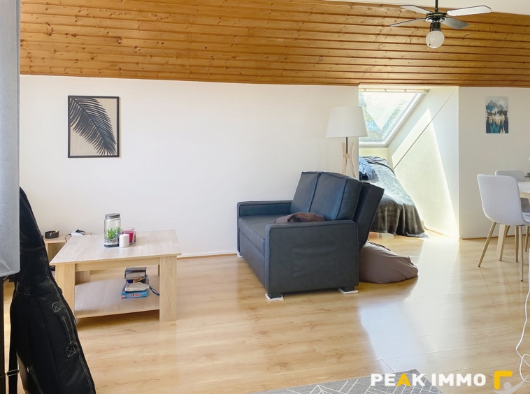 EN EXCLUSIVITE, Vente appartement T2/T3 avec garage Contamin