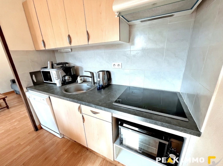 Appartement F1 - 29.08 m2 - Sallanches