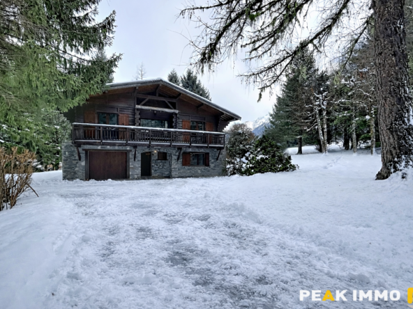 Chalet 120 m2 utiles - Chamonix-Mont-Blanc