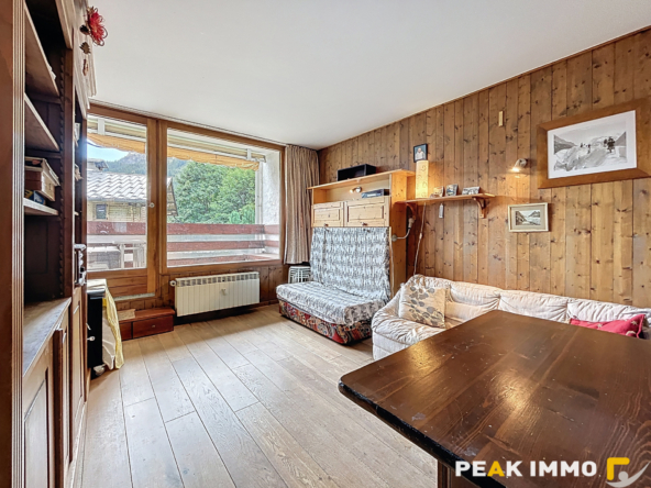 Appartement 2 pièces 32 m2