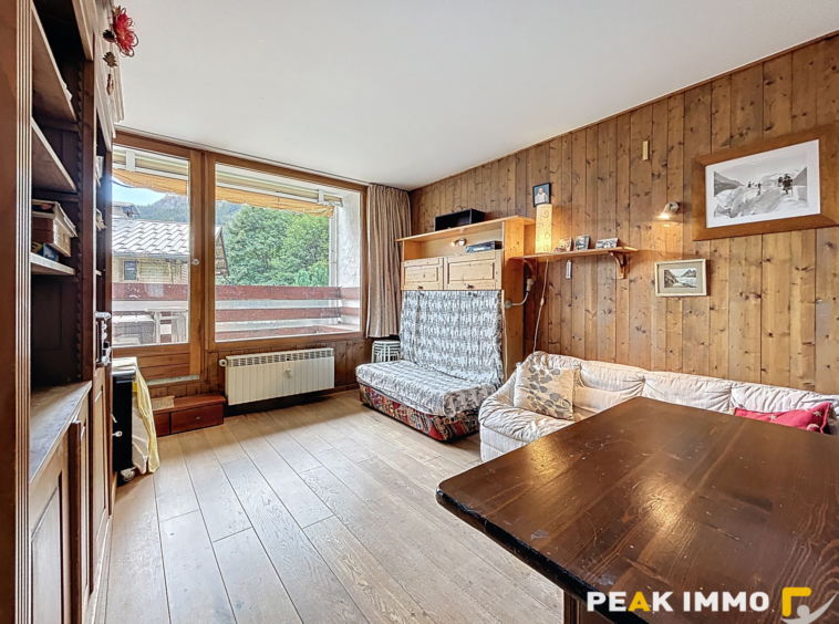 Appartement 2 pièces 32 m2