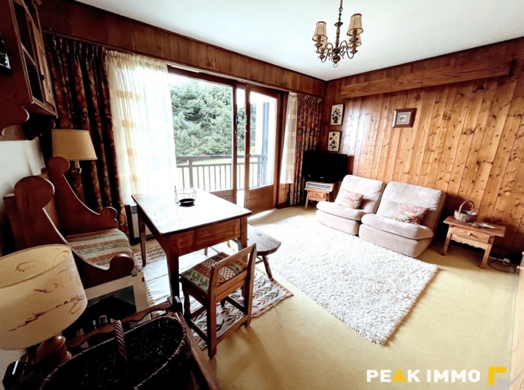 Appartement - 2 pièces - 32.57m2  - Combloux secteur Ormaret