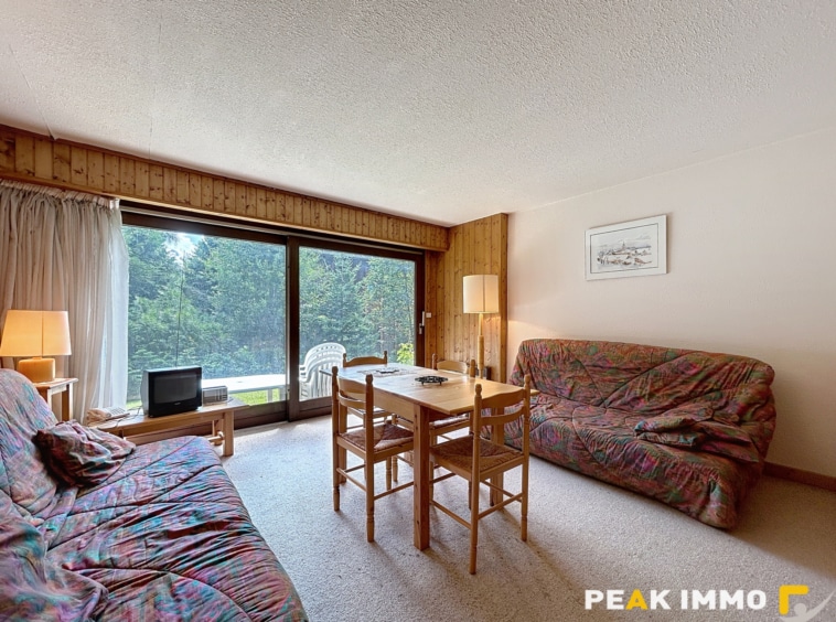 Studio 29,32 m2 - ARGENTIERE, Chamonix-Mont-Blanc