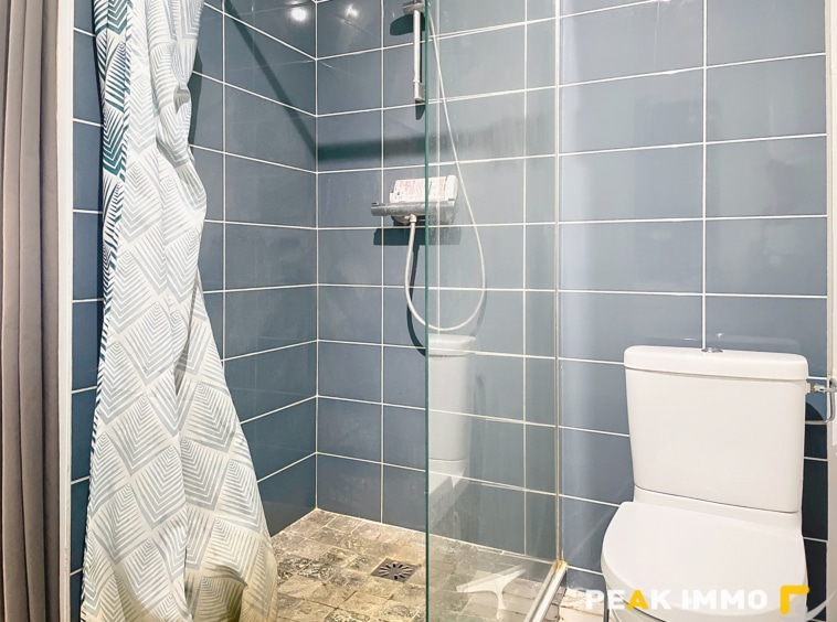 EXCLUSIVITE LA ROCHE SUR FORON CENTRE VILLE APPARTEMENT T1 S